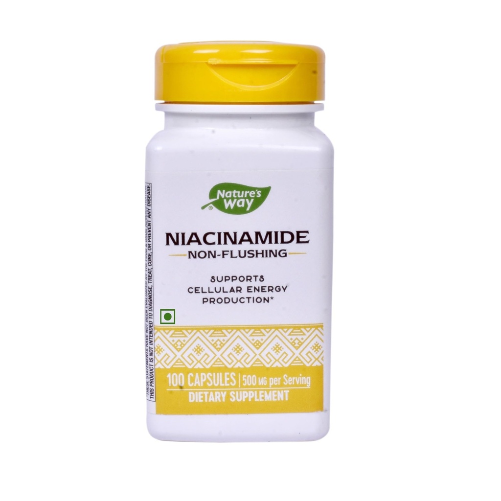 Nature's Way Niacinamide 500mg - 100 Κάψουλες (2- Πακέτο)