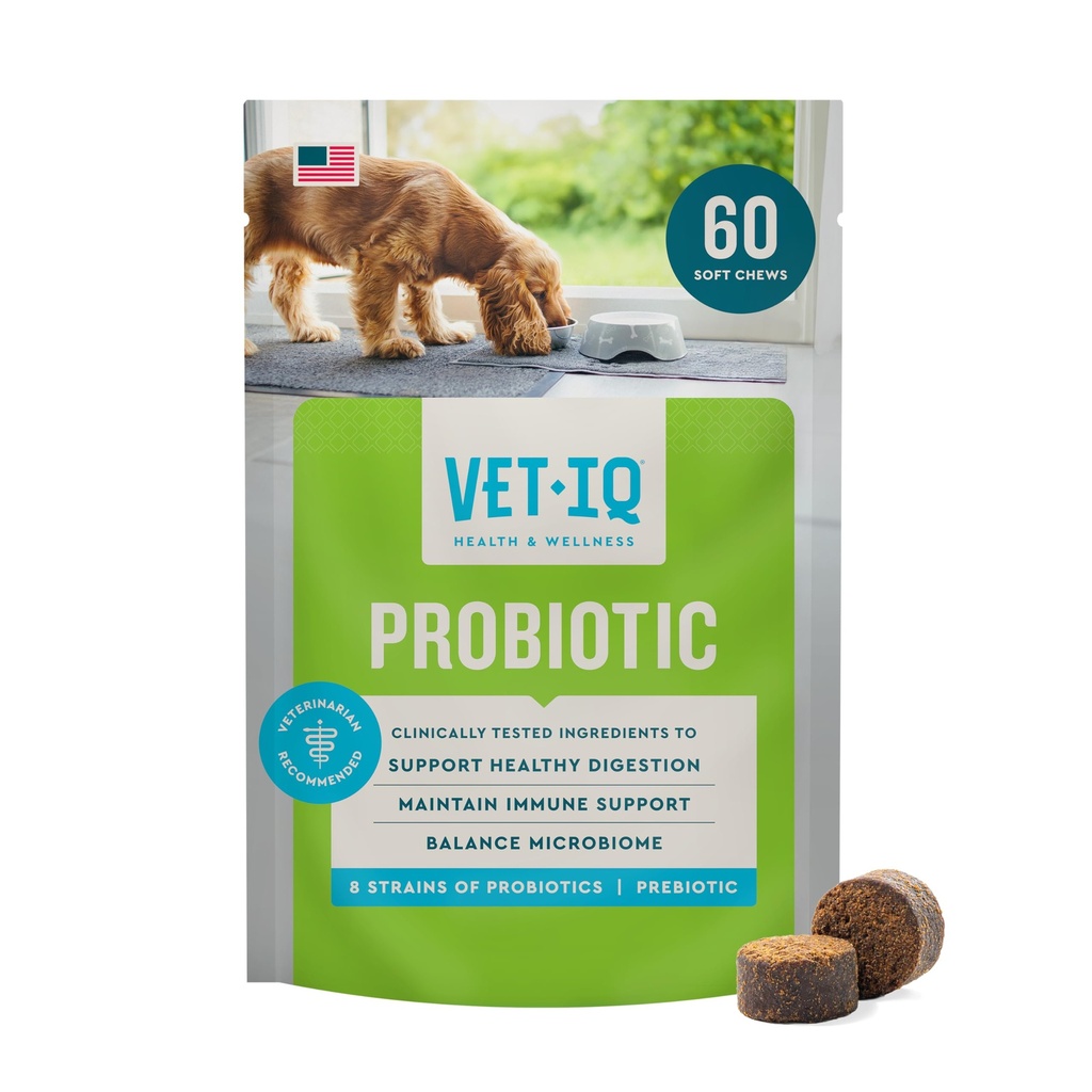 VetIQ Probiotic συμπλήρωμα για τα σκυλιά, Digestive υποστήριξη για τα σκυλιά, Nourishes Βακτήρια και υποστηρίζει Bowel λειτουργία, Hickory άρωμα καπνού, Made in The USA, 60 Count