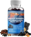 Shilajit Gummies, Shilajit, Resin, με 85+ Trace Minerals, Fulvic Acid, Phytonutrients, Vitamin C, D, B12, Ashwagandha, Chaga Mushroom, Turmeric, για την ενέργεια, ανοσοποιητική υποστήριξη