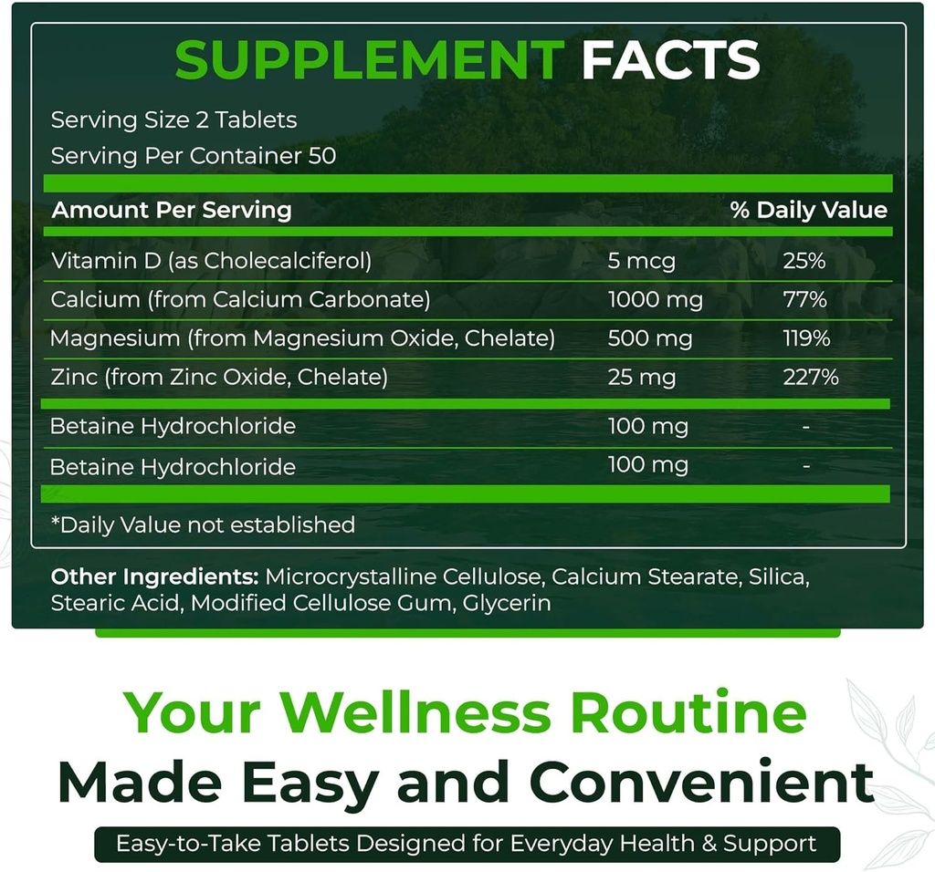 Natural Nutra 500 Count, συμπλήρωμα μαγνησίου ασβεστίου ψευδάργυρου με βιταμίνη D3 για την αντοχή των οστών, βοηθά στη βελτίωση της πέψης, χωρίς γλουτένη υγείας και χωρίς ζάχαρη, ουσιαστικό σύμπλεγμα ορυκτών