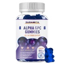 Άλφα GPC Choline Gummies 600mg με Phosphatidylserine & Bakopa – 3-σε-1 Υποστήριξη εγκεφάλου για τη μνήμη, εστίαση & μακράς διάρκειας Γνωστική Υγεία – Χωρίς ζάχαρη, Φυσική Φόρμουλα, 60 μέτρα