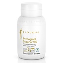 Biogena Pycnogenol 100 mg χρυσός με Premium πατενταρισμένο γαλλικό Maritime Pine Bark Extract (Pinus Pinaster) για την υποστήριξη της κυκλοφορίας του αίματος
