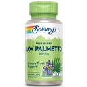 SOLARAY Saw Palmetto Berry 580 mg, Υγιής Προστάτης και Ουρολοίμωξη Υποστήριξη από Λιπαρά Οξέα & Φυτικές στερόλες για άνδρες και γυναίκες, Μη ΓΤΟ, Vegan & Lab Επαληθευμένο, 100 VegCaps, 100 Servings