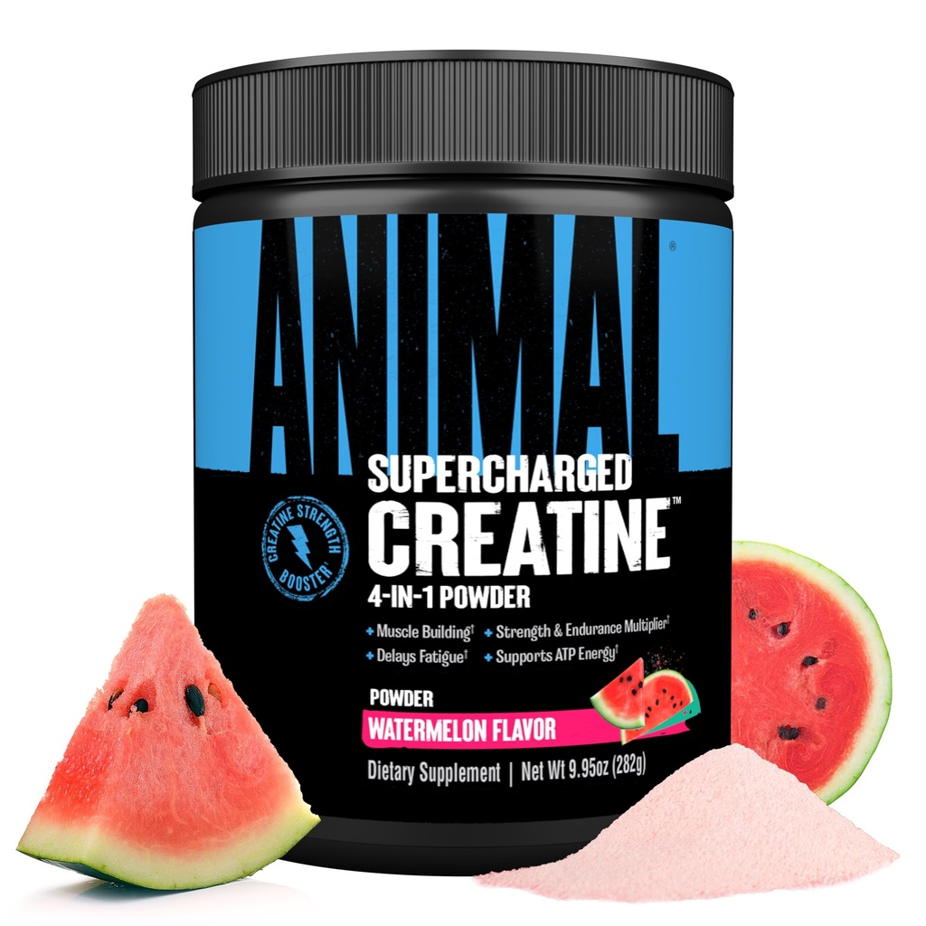 Animal Supercharged Creatine Powder - Flavored Creatine Monohydrate Enhanced with Betaine Anhydrous, PurpleForce & Senactiv, Strength, Endurance, Mus Recovery for Men and Women - Watermelon, 300g