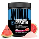 Animal Supercharged Creatine Powder - Flavored Creatine Monohydrate Enhanced with Betaine Anhydrous, PurpleForce & Senactiv, Strength, Endurance, Mus Recovery for Men and Women - Watermelon, 300g