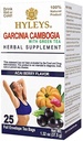 HYLEYS Tea Garcinia Cambogia Green Tea with Acai Berry Flavor - 25 Tea Bags (12 Pack - 300 Tea Bags Total)
