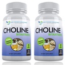Premium Choline - 500 mg - 120 κάψουλες λαχανικών - Υποστηρίζει Γνωστική Υγεία, Μνήμη & Περισσότερα - 2 Pack