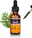 Herb Pharm Thuja Branchlet Liquid Extract - 1 ουγγιά (DTHUJA01)