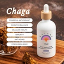 Rainbo - Chaga Mushroom Βάμμα - Αλκοόλ Δωρεάν - Διπλό εκχύλισμα συμπλήρωμα μανιταριών - Ανοσολογική υποστήριξη, Κυτταρική υποστήριξη, Υγρό Chaga συμπλήρωμα, Vegan, μη ΓΤΟ, 3.4 fl oz
