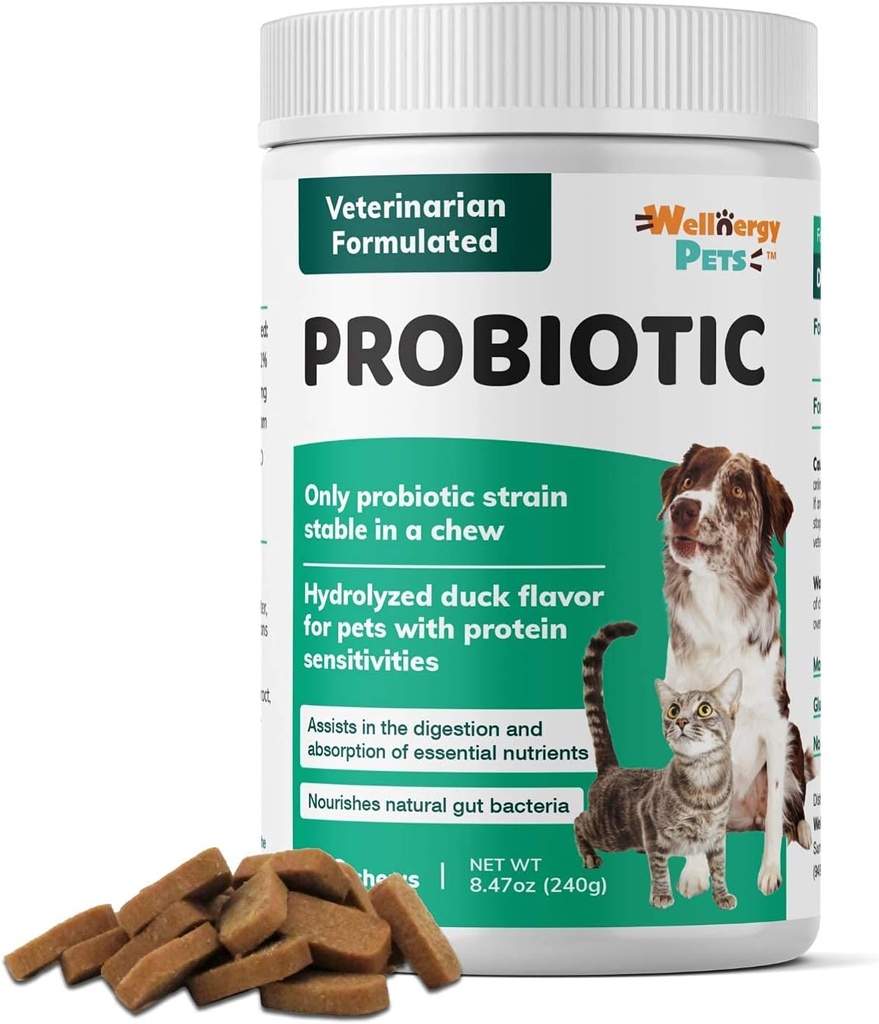 Wellnergy Daily Probiotic & Prebiotics Soft Chew for Dogs & Cats - Digestive Υποστήριξη για Διάρροια, Δυσκοιλιότητα, Αναταράσσεται Στομάχι, Δυσπεψία & Αέριο - Βοηθά στην Πέψη, Αλλεργία Δέρμα & Ανοσοποιητική Υγεία 160ct