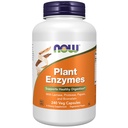 NOW Συμπληρώματα τροφίμων, Ένζυμα φυτών με Lactase, Protease, Papain και Bromelain, 240 κάψουλες Veg