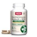 Jarrow Formulas Saccharomyces Boulardii + MOS - 5 Δισεκατομμύρια Οργανισμοί ανά υπηρεσία - 180 Καθυστερημένη απελευθέρωση Veggie Caps - Probiotic + Prebiotic - Εντερική Φυλλαδική Υποστήριξη - Μέχρι 180 Υπηρεσίες