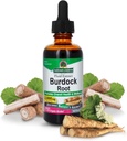 Απάντηση της φύσης Burdock Root 