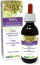 Naturalma Fennel (Foeniculum vulgare) Fruit Alcohol-Free Tincture - 4 fl oz Liquid Extract in Drops - Herbal Supplement - Vegan