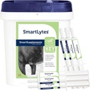 SmartEquine SmartLytes Horse Electrolyte Powder Supplement & SmartLytes Paste Horse Electrolyte Paste 6 Tubes Bundle, Ενθαρρύνει την ενυδάτωση, Replenishes Electrolytes, Όχι Προστέθηκε Ζάχαρη