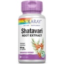 SOLARAY εγγυημένη ισχύς Shatavari Root Extract, Veg Cap (Btl-Plastic) 500mg 