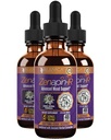 Rejuvica Health Zenapin IR - Advanced Mood Support Supplement - Κάβα Κάβα, Ashwagandha, Passionflower, Χαμομήλι, B-Vitamins & More