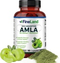 FineLand Amla (Indian Gooseberry) 20X Full Spectrum Extract – 30.600mg Ισοδύναμο ανά Σερβίρισμα με BioPerine® για Απορρόφηση, Πλούσιο σε Φυσική Βιταμίνη C, Ανοσοποιητική & Πεπειστικό Υποστήριξη – 90 Vegan Κάψουλες