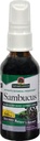 Απάντηση της φύσης Sambucus Syrup Extract Spray 2 Fluid Ounces 