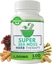 Sea Moss Κάψουλες 100 Πακέτο - Ιρλανδική Θάλασσα Μος με Bladderwrack σκόνη & Burdock Root Powder - Keto & Alkaline Diet Υποστήριξη - Δεν Fillers Seamoss Ακατέργαστο Συμπλήρωμα