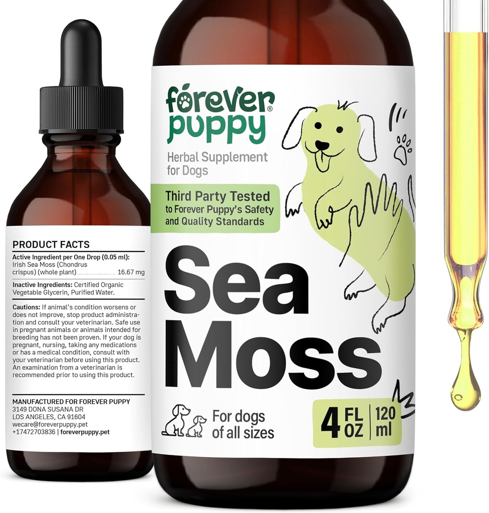 Forever Puppy Irish Sea Moss Drops for Dogs - Thyroid & Energy Support for All Breeds & Sizes - Συμπληρώματα διατροφής για σκύλους με εκχύλισμα Liquid Seamoss - Βιταμίνες και συμπληρώματα - Ζάχαρη & Αλκοόλ-Free -4 oz