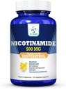Nicotinamide 500mg Enhanced w. Resveratrol 100mg 120 Veggie Capsules Up to 4 Months Supply Vitamin B3 w. Antioxidant All Natural Dietary Supplement Support Cellular Health Energy & Aging Gracefully