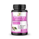 Pure Pueraria Mirifica συμπλήρωμα 500mg Root Extract σκόνη Εισάγεται από την Ταϊλάνδη - προωθεί την υγεία των γυναικών, οργανικά φυσικά βότανα, 60 κάψουλες λαχανικά
