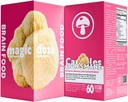 Μαγικές κάψουλες μανιταριών DozeTM Lion’s Mane Mushroom – 100% Καρπωτικό Σώμα για Εστίαση, Μνήμη & Εγκεφαλική Υγεία – 500mg ανά Καψάκιο, 60 κάψουλες Vegan