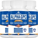 Συμπλήρωμα GPC 15-σε-1 Alpha με Φωσφατιδυλσερίνη, Ουριδίνη, L- Θεανίνη, Μανιτάρι του Λέοντος, 180 κάψουλες