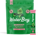 Waterboy Workout Hydration | 2,960mg Sugar Free Electrolyte Powder Packets | L-Glutamine + Vitamins | No Sugar, All Natural, Gluten Free | 15 Drink Stick Mixes (Strawberry Lemonade)