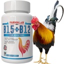 Farmalab B12 B15 για Roosters B15 B12 για Gallos 100 δισκία