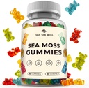 TrueSeaMoss Ιρλανδική Θάλασσα Moss Gummies με Burdock Root & Bladderwrack – Vegan Formula for Adults & Kids – Μη-GMO, Ζελατίνη-ελεύθερο, Fruit Flavor – Made in USA – 60 Gummies