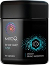 MitoQ + Eye Advanced CoQ10 Antioxidant - Περιέχει Mitoquinol Mesylate, Lutein, Zeaxanthin, Bilberry, Maritime Pine Bark - Υποστηρίζει την υγεία των ματιών, Blue Light Filtration & Cell Vitality (60 Κάψουλες)