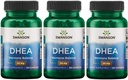 Swanson Premium Brand Dhea - High Potency 25 mg 120 Caps 3 Pack