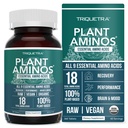 Plant Aminos Organic Essential Amino Acid Supplement (EAAs) & BCAA - 100% Plant-based Raw, Vegan - Όλα τα 9 Essential Amino Acids με 18 Ολικά Αμινοξέα (360 δισκία)