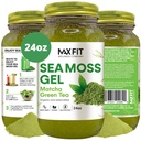 Sea Moss Gel Matcha Πράσινο Τσάι 24oz Wildсrafted Gold Sea Moss Gel από την Αγία Λουκία 