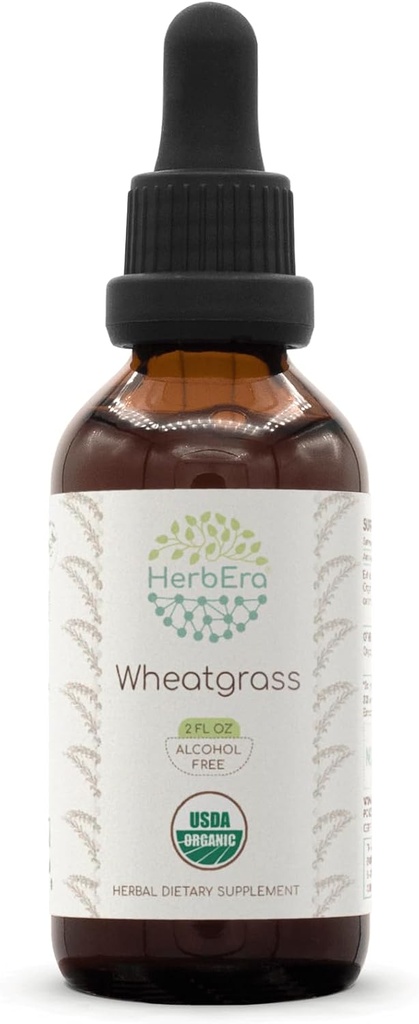 HerbEra Wheatgrass B60 USDA Βιολογικό Βάμμα Χωρίς Αλκοόλ, Φυτικές σταγόνες υψηλής ισχύος, Υγρό Συμπλήρωμα 