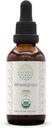 HerbEra Wheatgrass B60 USDA Organic Tincture | Alcohol-Free Extract, High-Potency Herbal Drops, Liquid Supplement | Certified Organic Wheatgrass (Triticum aestivum) Dried Leaf (2 oz)