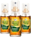 Beelif Propolis Prooat Spray– Καταπραϋντικό Μέλι & Ginger Propolis Spray - Φυσική Ανοσολογική Υποστήριξη & Bee Propolis Extract-Αντιοξειδωτικά, πλούσια σε φλαβονοειδή & Artepillin, Χωρίς Ζάχαρη, Χωρίς Γλουτένη - 3-Pack, 90ml