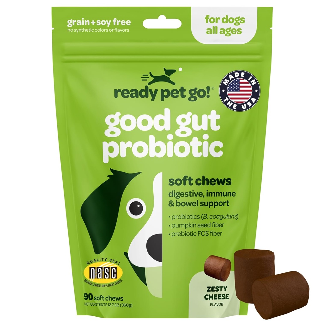 Probiotic Chews for Dogs Gut Health 