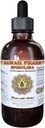 HawaiiPharm Spirulina Liquid Extract, Βιολογικό Spirulina (Arthrospira platensis) Βάμμα, βοτανικό συμπλήρωμα, Κατασκευασμένο στις ΗΠΑ, 2 fl.oz