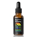 6 Blend Mushroom Liquid Extract, US Grown Mushrooms Alcohol Free, Natural Energy, Cognitive Support, Immunity Boost,100% Fruit Bodies, Lion's Mane, Cordyceps, Reishi, Chaga, Turkey Tail (1 fl oz)