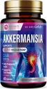 Akkermansia Probiotic Supplement - 2 δισεκατομμύρια AFU GLP-1 συμπλήρωμα με προβιοτικές ίνες - Akkermansia Muciniphila GLP-1 Probiotics για γυναίκες & άνδρες - Digestive, Gut & ανοσοποιητική υποστήριξη - 60 κάψουλες