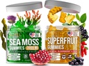 Ιρλανδική Θάλασσα Moss & Superfruit Gummies - Φρούτα Multivitamin Gummies & Θάλασσα Moss Gummies για ενήλικες, παιδιά - Superfruits, Ιρλανδική Θάλασσα βρύα Bladderwrack Burdock Root - 60 Superfruit, 60 Ιρλανδική Θάλασσα Moss Gummies