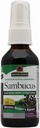 Φύση Απάντηση Sambucus Spray