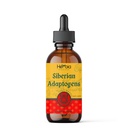Siberian Adaptogens Herbal Blend – Natural Energy, Focus & Stress Support – Liquid Extract with Maral, Eleuthero, Rhodiola, Ginseng, Schisandra & More – Organically Grown, 2 fl oz (60 ml)