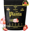 Ambrosia Planta - Premium Plant-Based Protein | Vegan & Keto Friendly | Gourmet Flavors with No Bloating or Stomach Upset | No Added Sugar | 14 Servings | (Strawberry Ice Cream)