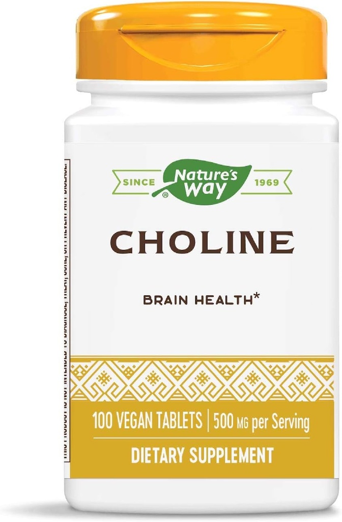 Nature's Way Choline, 500 mg ανά μερίδα, 100 δισκία (πακέτο των 2)
