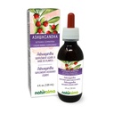 Naturalma Ashwagandha (Withania somnifera) Root Alcohol-Free Tincture - 4 fl oz Liquid Extract in Drops - Herbal Supplement - Vegan