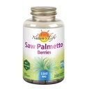 Nature's Life Saw Palmetto Berries 1160 mg 